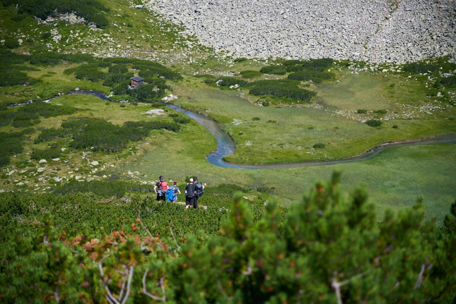 Hiker navigating mountain trail with GPS watch, demonstrating outdoor adventure technology in wilderness setting