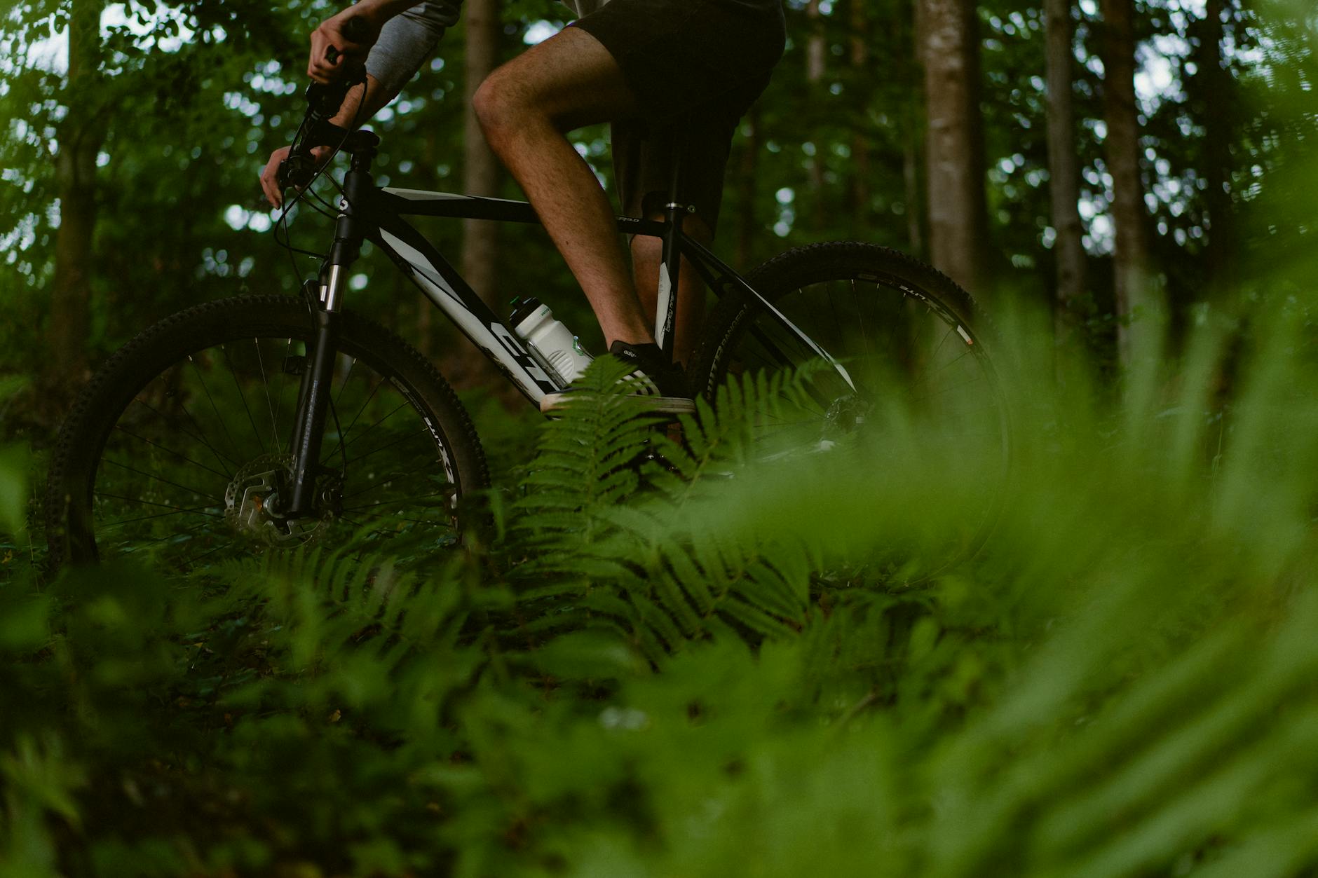 Mountain biker riding through forest trail, ideal for drone tracking