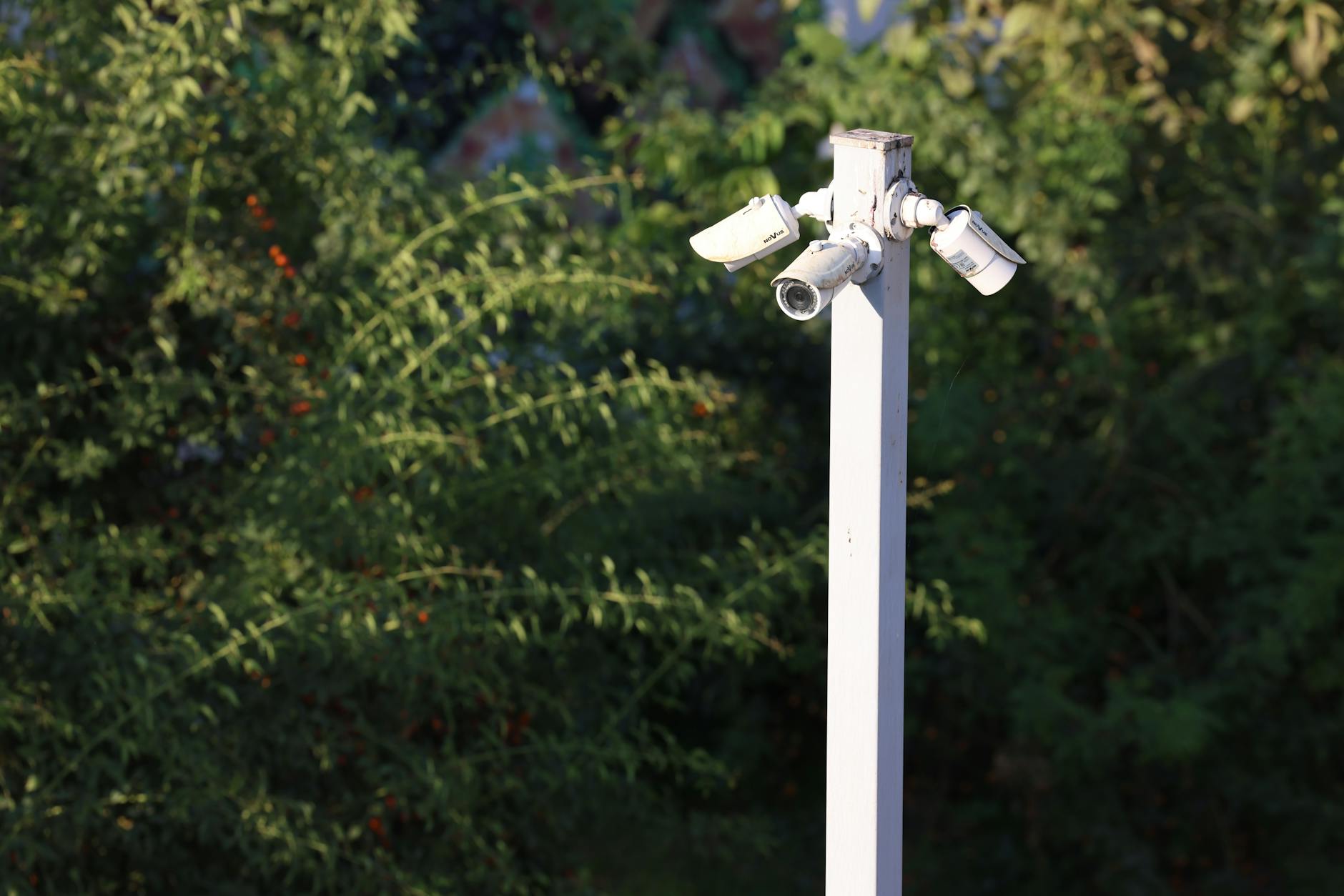 Security camera mounted on ceiling in retail environment for facial recognition and inventory monitoring