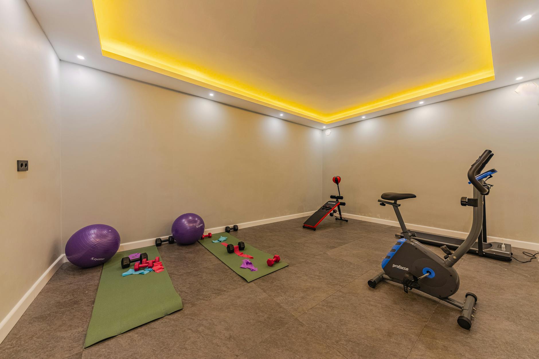 Interior view of modern gym with exercise equipment and ambient lighting