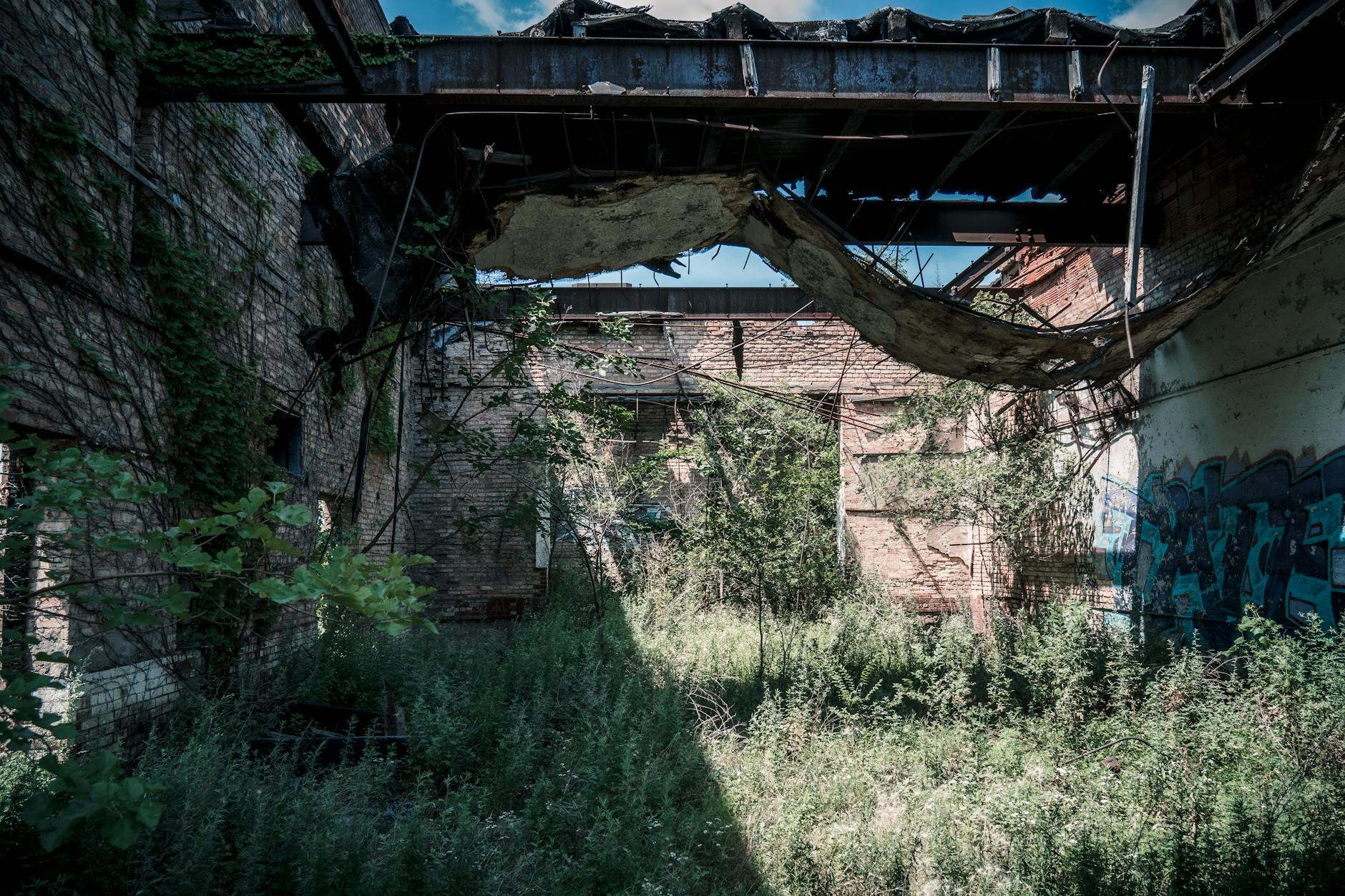 Crumbling urban building facade with overgrown vegetation and decay