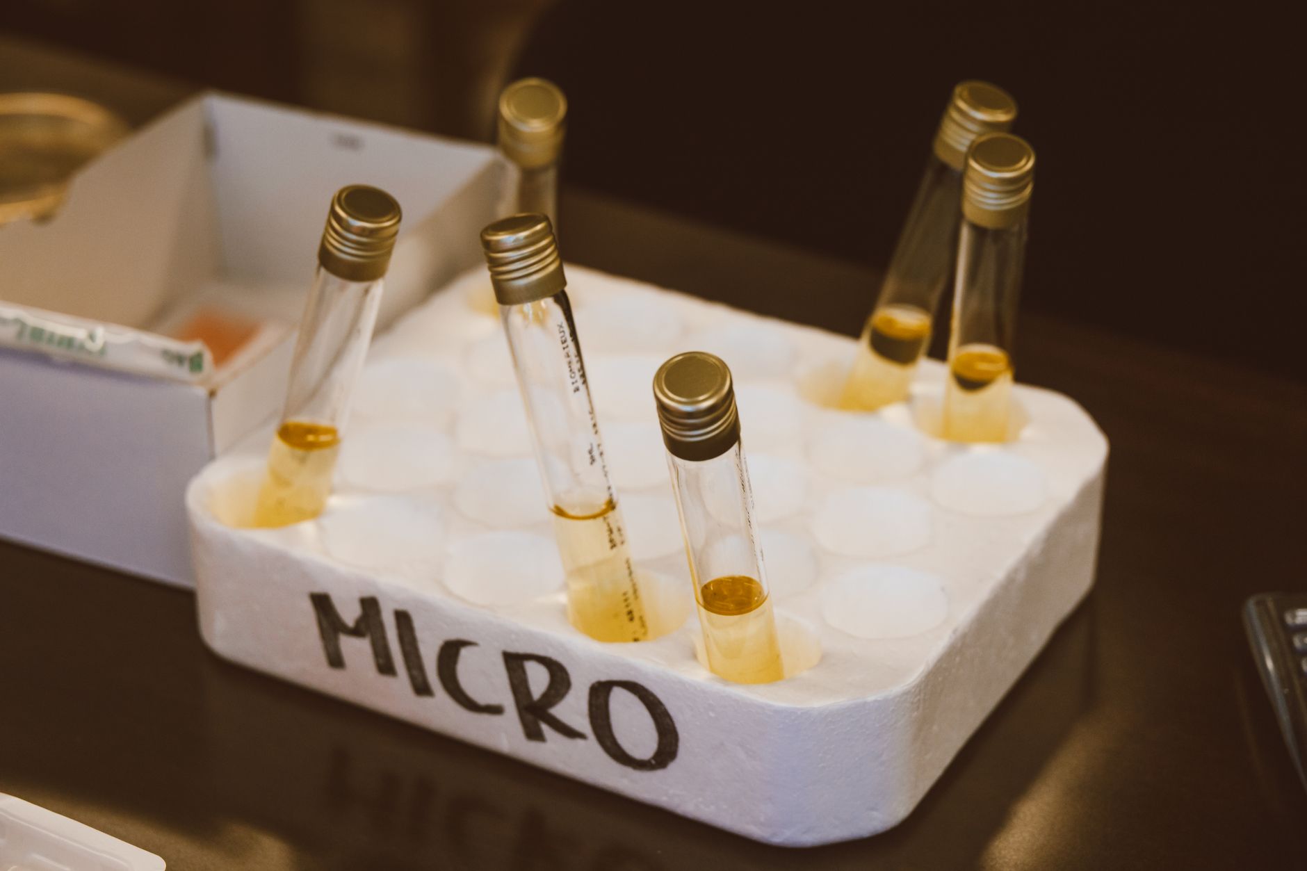 Researcher handling semiconductor materials in a laboratory setting