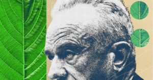 RFK Jr. Moves to Ban 7-OH as Kratom Advocates Push Back Hard Assorted herbal supplement capsules and powder on a wooden surface