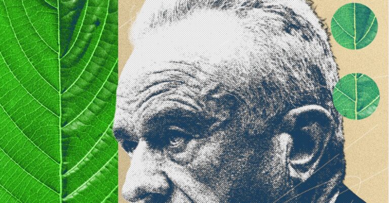 RFK Jr. Moves to Ban 7-OH as Kratom Advocates Push Back Hard Assorted herbal supplement capsules and powder on a wooden surface