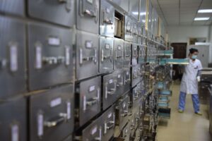 Pig Kidneys Stored Below Freezing Signal a New Era for Organ Banks Medical laboratory equipment used in organ preservation research