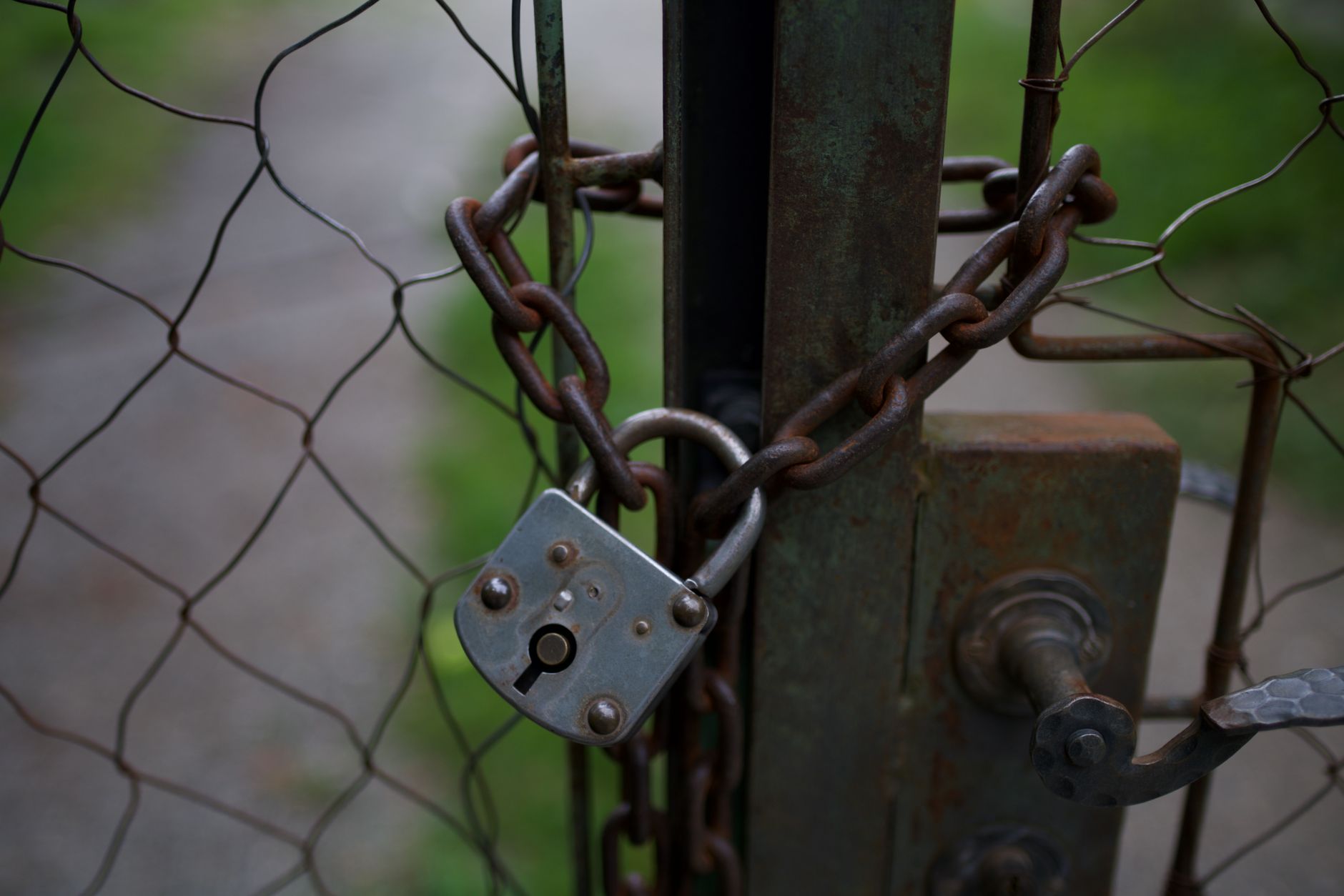 Digital lock icon symbolizing data security concerns raised by AI model intrusions