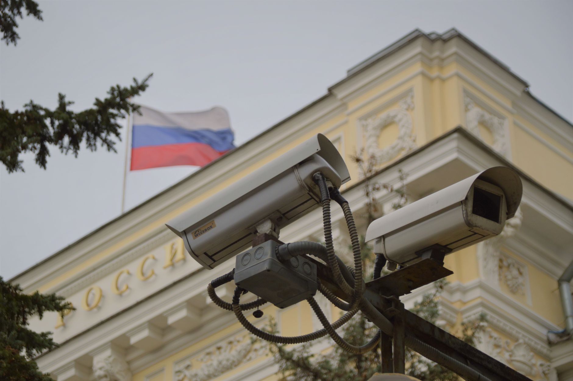 Security camera mounted on a pole overlooking a street, representing license plate reader surveillance networks