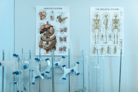 Frozen Pig Kidneys, Nuclear Upgrades, and a Saudi AI Spy Scientists working in a medical research laboratory with preserved biological samples