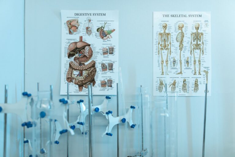 Frozen Pig Kidneys, Nuclear Upgrades, and a Saudi AI Spy Scientists working in a medical research laboratory with preserved biological samples