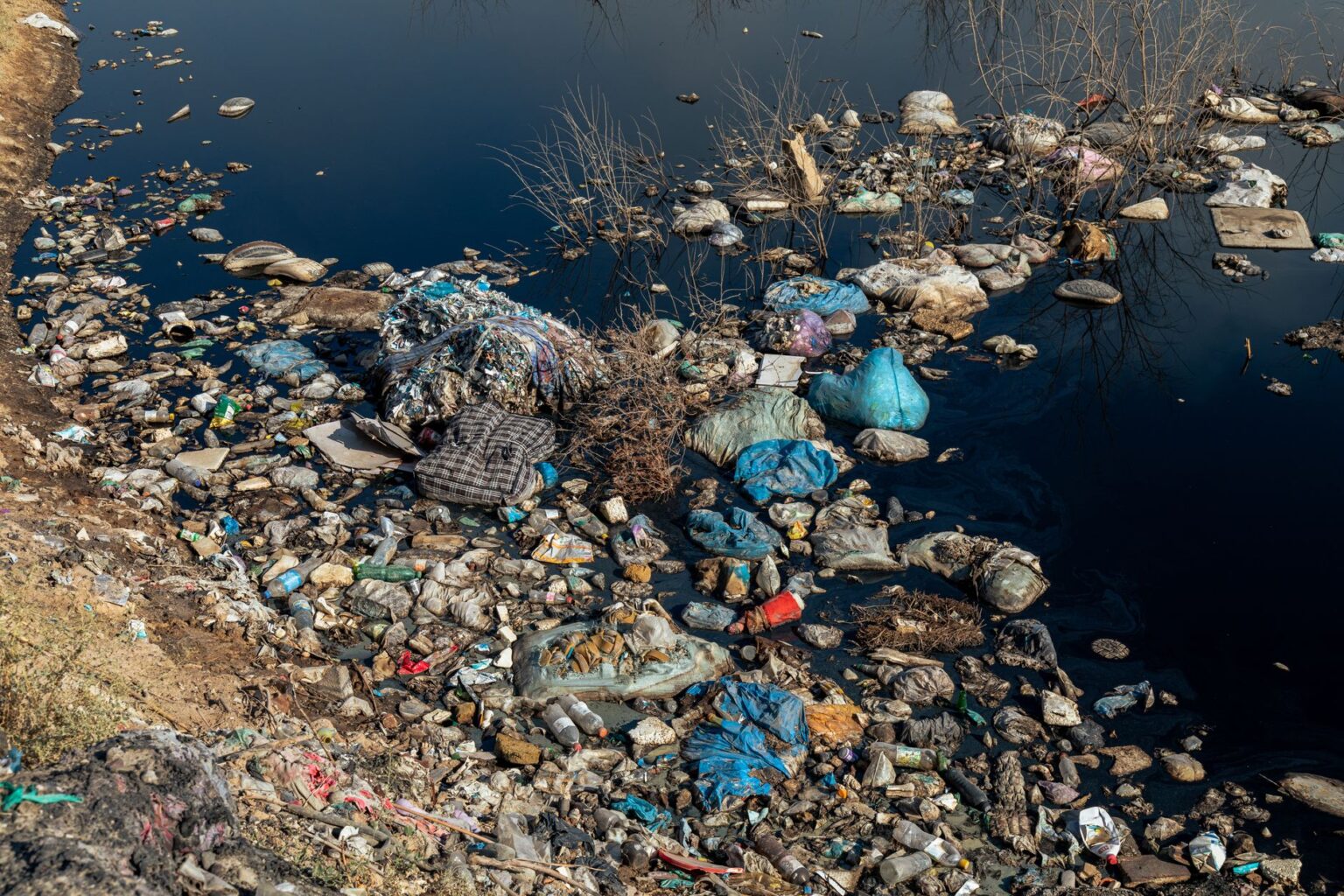 Microplastics React With Water — and That Changes Everything for Biology Microplastic particles visible in a water sample under magnification