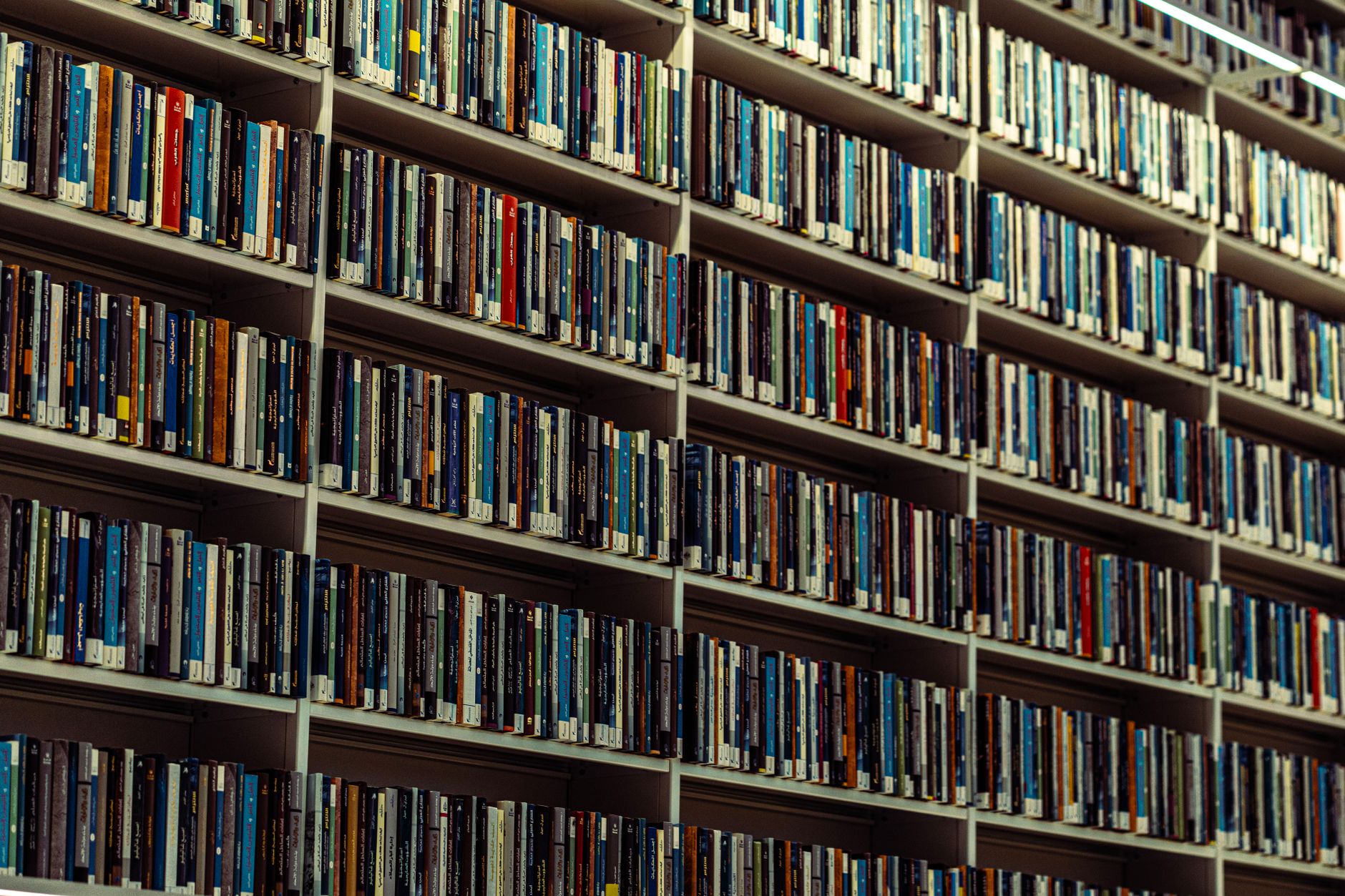 Open encyclopedia volumes on a library table representing reference documentation